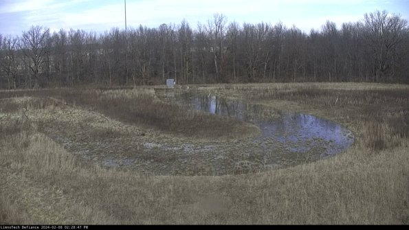 Cell 4_24-02-08_14-28-47-93