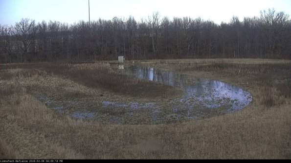 Cell 4_24-02-08_16-09-14-92