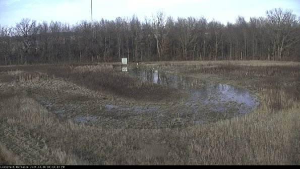 Cell 4_24-02-08_16-42-43-94