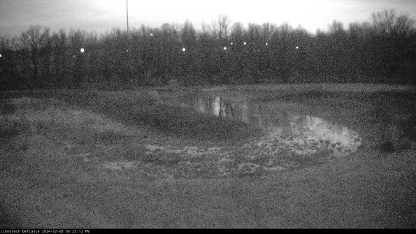 Cell 4_24-02-08_18-23-12-96