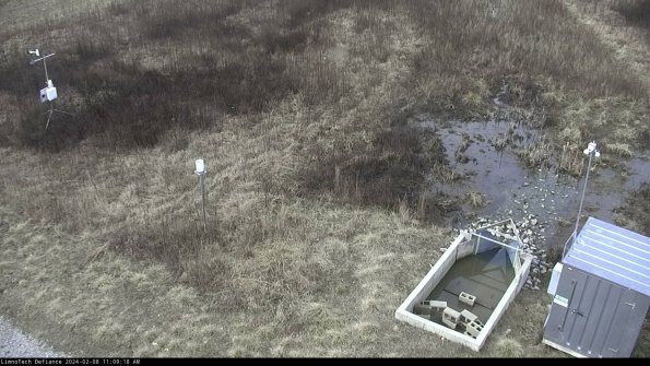 Weather & Flume_24-02-08_11-09-19-13