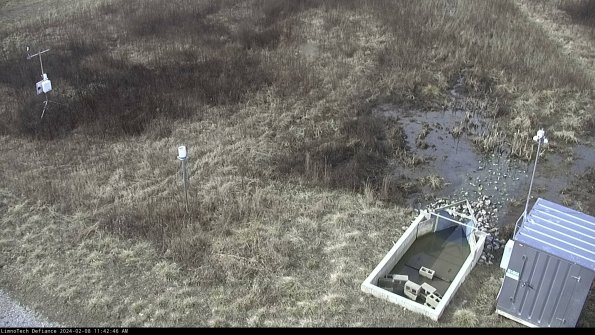 Weather & Flume_24-02-08_11-42-47-18