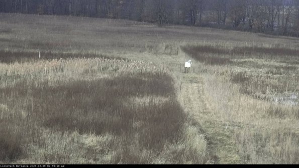 Cell 1 to 2_24-02-09_09-59-50-92