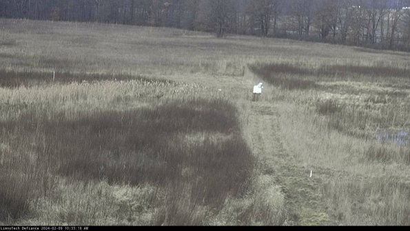 Cell 1 to 2_24-02-09_10-33-19-93