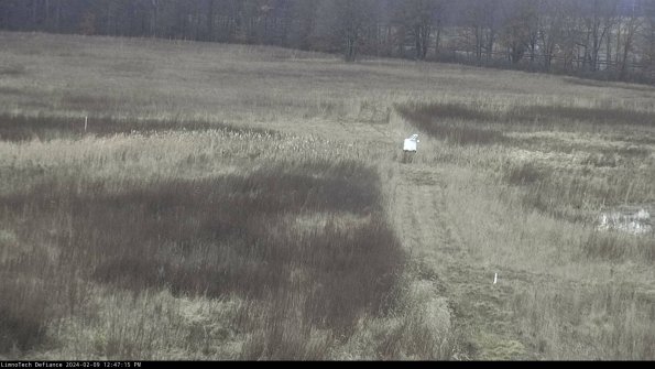 Cell 1 to 2_24-02-09_12-47-15-94