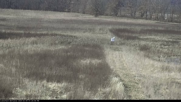 Cell 1 to 2_24-02-09_13-20-44-92