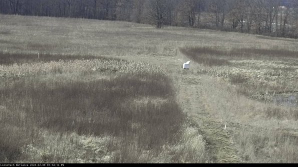 Cell 1 to 2_24-02-09_13-54-14-91