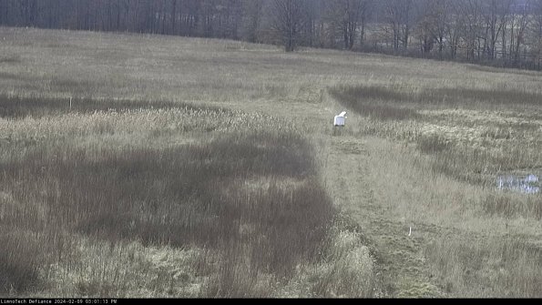 Cell 1 to 2_24-02-09_15-01-13-92