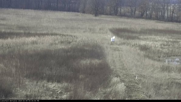 Cell 1 to 2_24-02-09_15-34-43-94