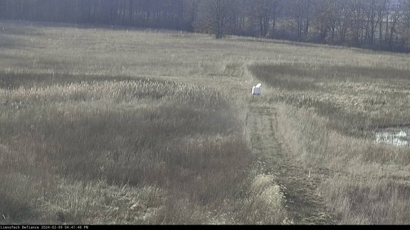 Cell 1 to 2_24-02-09_16-41-40-91