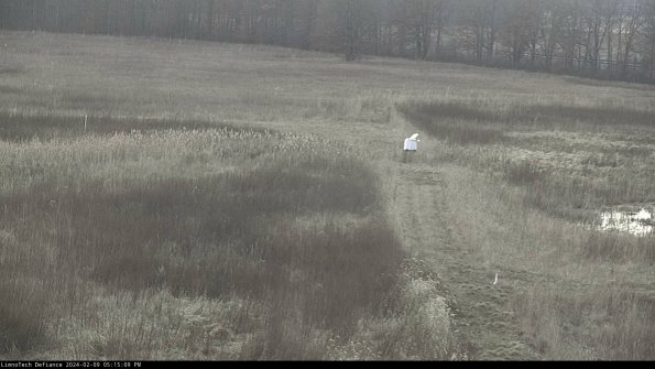 Cell 1 to 2_24-02-09_17-15-09-93