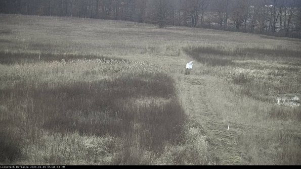 Cell 1 to 2_24-02-09_17-48-38-95