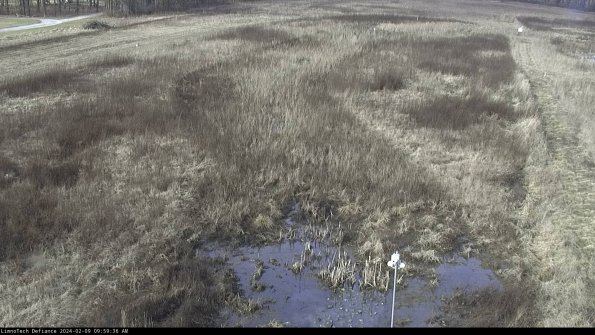 Cell 1_24-02-09_09-59-36-94