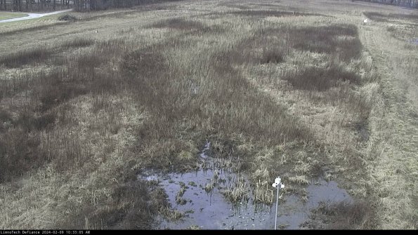 Cell 1_24-02-09_10-33-05-92