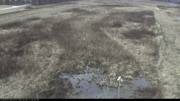 Cell 1_24-02-09_11-40-02-92