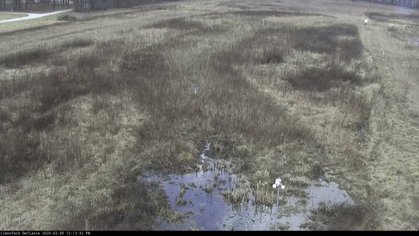 Cell 1_24-02-09_12-13-32-94