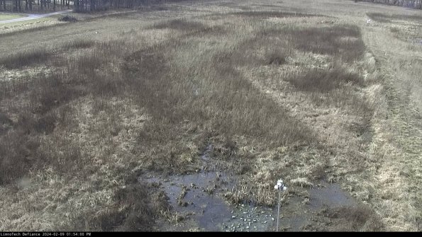 Cell 1_24-02-09_13-54-00-93