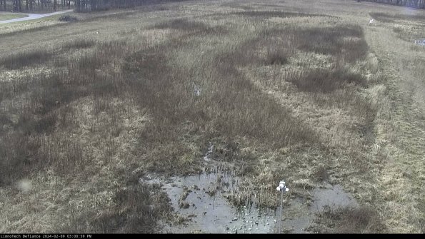 Cell 1_24-02-09_15-00-59-94