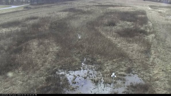 Cell 1_24-02-09_15-34-29-92