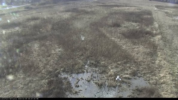 Cell 1_24-02-09_16-07-58-94