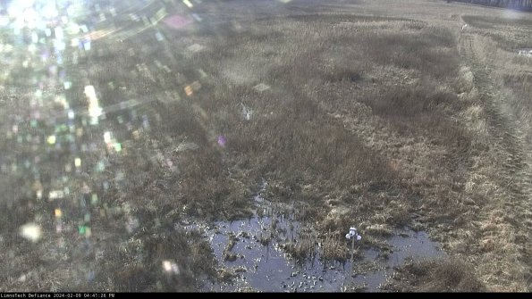 Cell 1_24-02-09_16-41-26-93