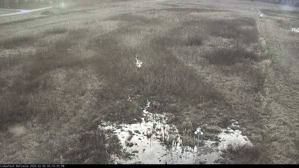 Cell 1_24-02-09_17-14-55-92