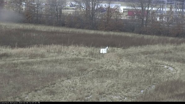 Cell 2 to 3_24-02-09_12-47-42-07