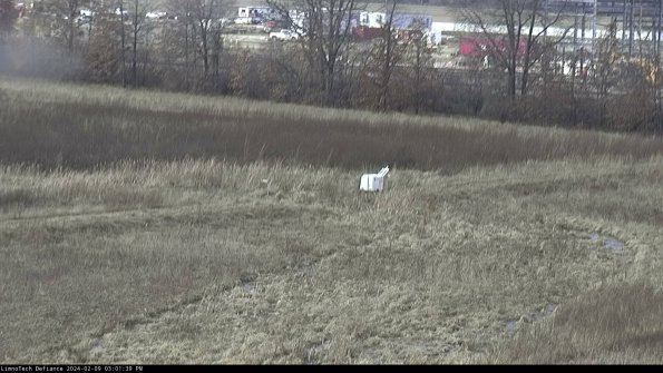 Cell 2 to 3_24-02-09_15-01-40-04