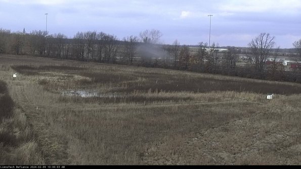 Cell 2_24-02-09_10-00-04-00