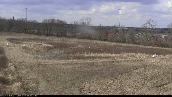 Cell 2_24-02-09_13-20-57-94