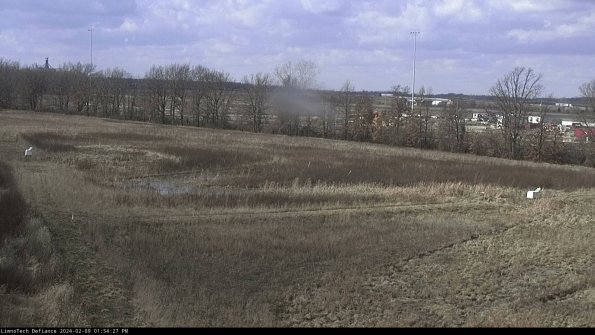 Cell 2_24-02-09_13-54-27-99