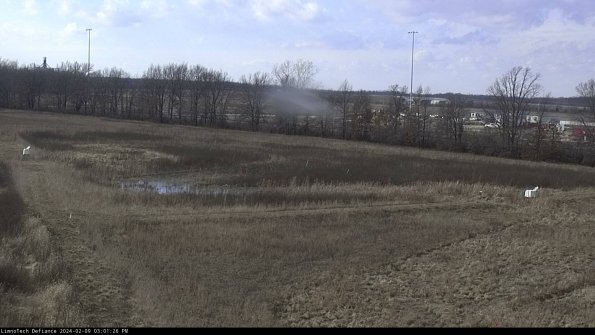 Cell 2_24-02-09_15-01-26-96