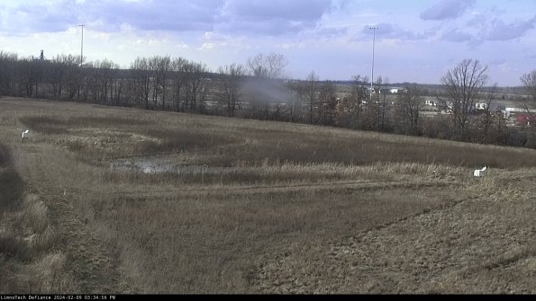 Cell 2_24-02-09_15-34-57-02