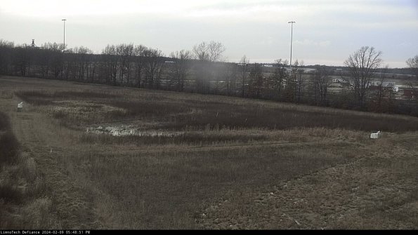 Cell 2_24-02-09_17-48-51-96