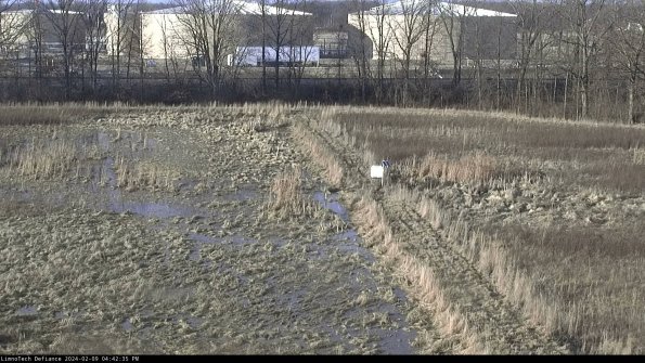 Cell 3 to 4_24-02-09_16-42-35-93