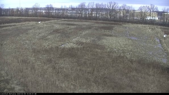 Cell 3_24-02-09_10-00-31-92