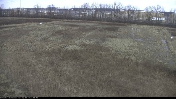 Cell 3_24-02-09_10-34-00-14