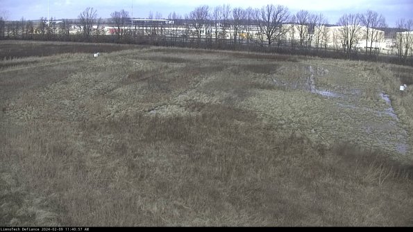 Cell 3_24-02-09_11-40-57-91