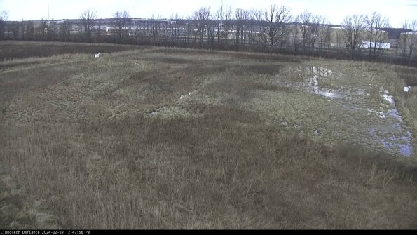 Cell 3_24-02-09_12-47-56-95