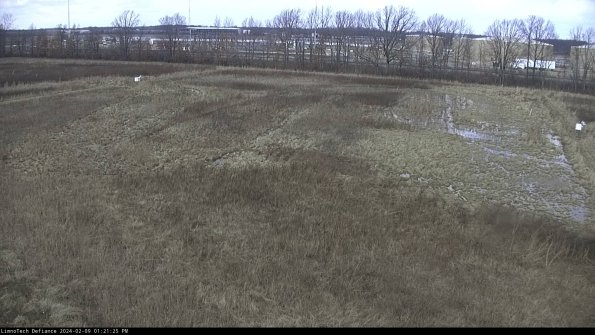 Cell 3_24-02-09_13-21-25-93