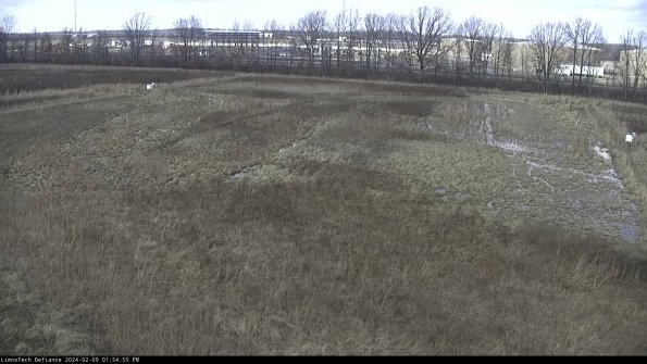 Cell 3_24-02-09_13-54-55-92