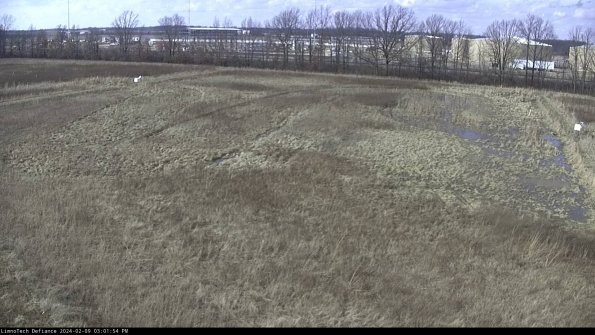 Cell 3_24-02-09_15-01-54-93