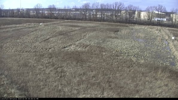 Cell 3_24-02-09_16-08-53-17