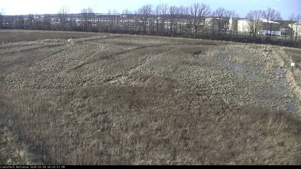 Cell 3_24-02-09_16-42-21-92