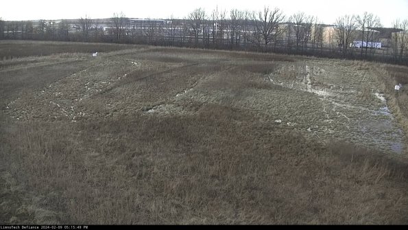 Cell 3_24-02-09_17-15-50-17