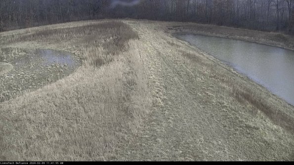 Cell 4 to Basin_24-02-09_11-41-55-93