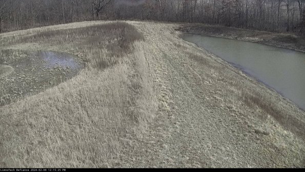 Cell 4 to Basin_24-02-09_12-15-25-96