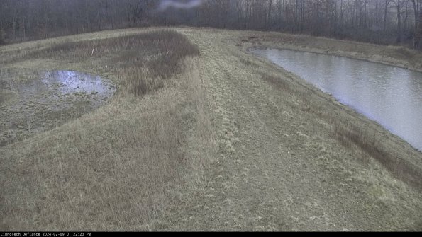 Cell 4 to Basin_24-02-09_13-22-23-96