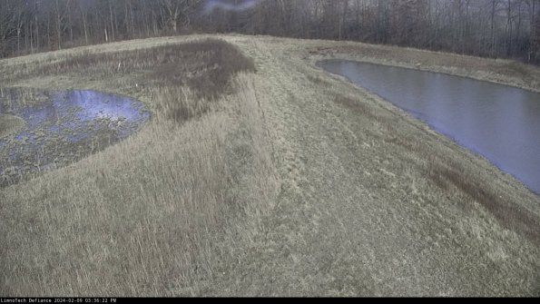 Cell 4 to Basin_24-02-09_15-36-22-94