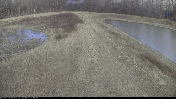 Cell 4 to Basin_24-02-09_16-09-50-92